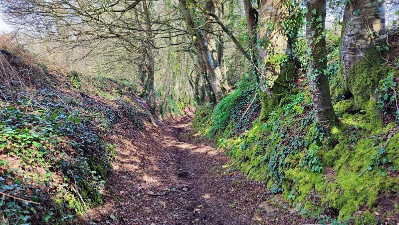 Chemin de randonnée sur Plufur