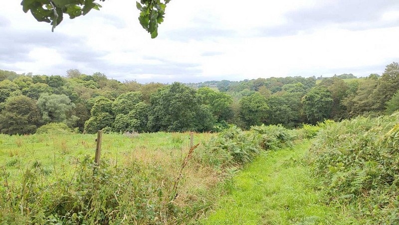 Chemin de randonnée sur Plufur