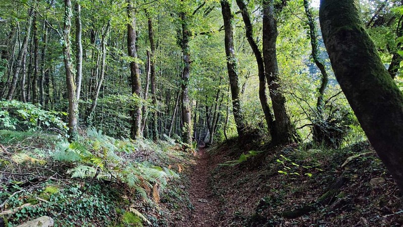 La Grande Boucle | Plufur