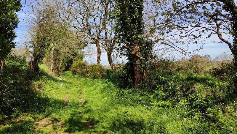 La Grande Boucle | Plufur