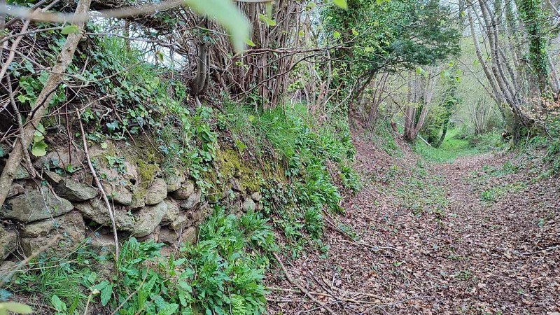 Talus-mur sur un chemin