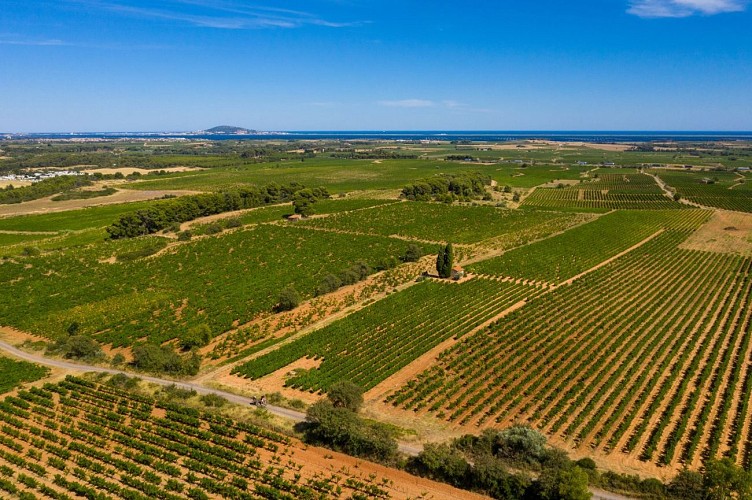 EN GRAVEL SUR LA GTMC: MILLAU - LE CAP D'AGDE - MONTPELLIER