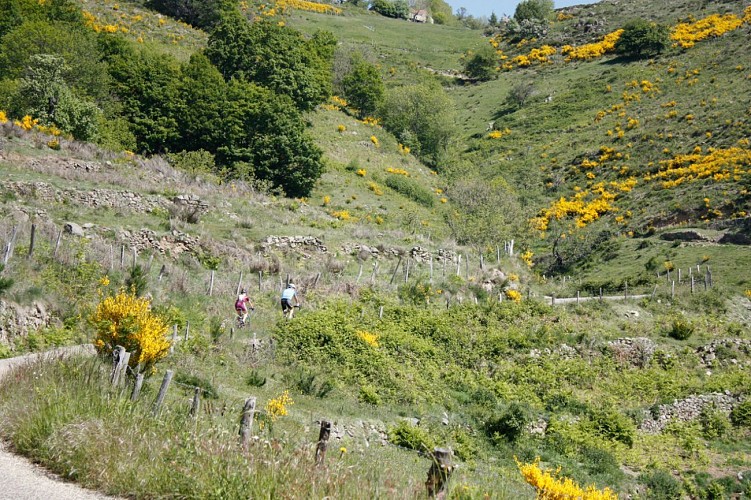 Sur les routes de l'Ardéchoise
