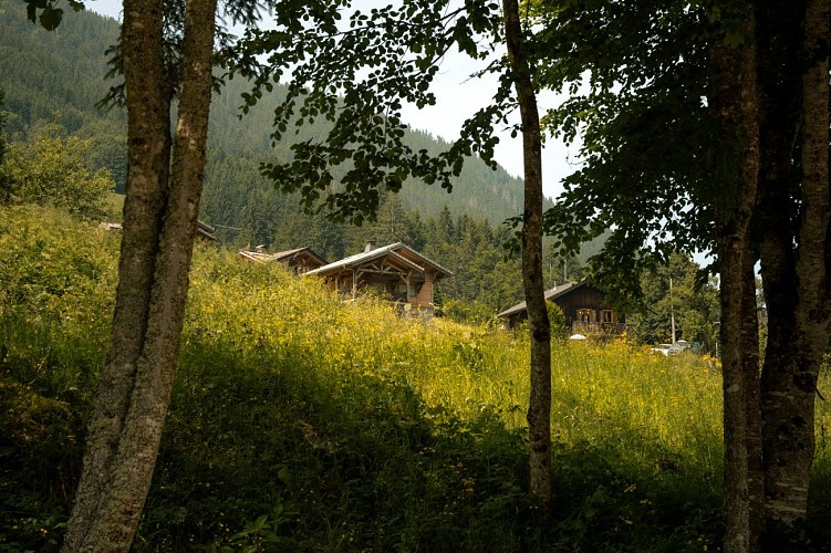 Balade au Nant de Seytroux_Seytroux