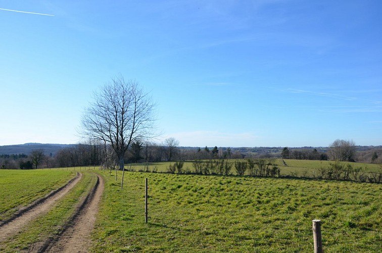 paysage circuit de caux