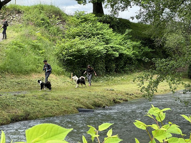 chemin de la transhumance 2 tourinsoft