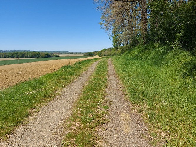 Sentier de l'Adour