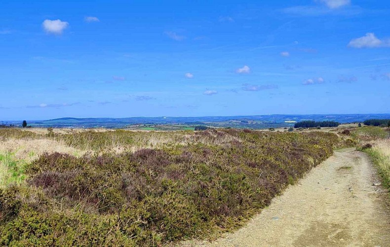 Monts D'Arrée - Vue panoramique