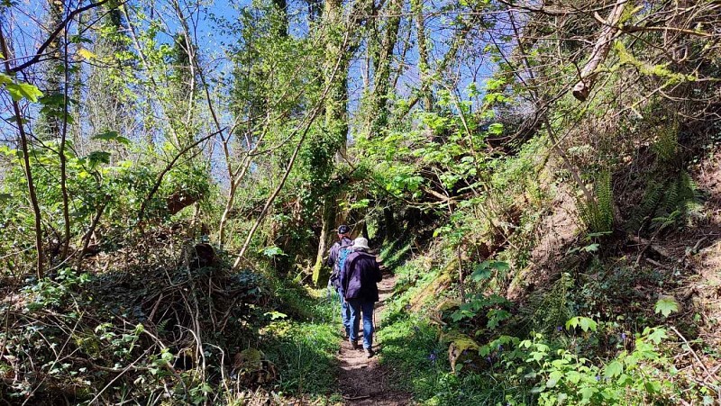 Monts D'Arrée - Sentiers