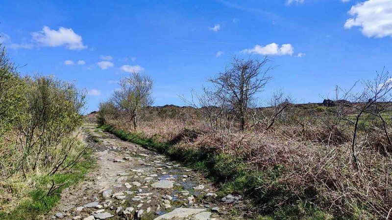 Monts D'Arrée - les chemins caillouteux