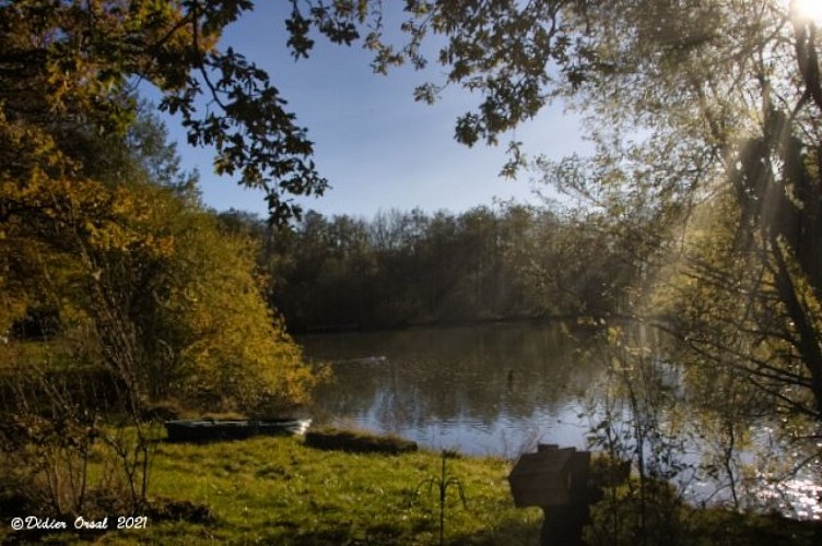 L'étang près du fossé Neuf