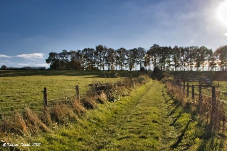Le raccourci N°2 de la Hiocherie