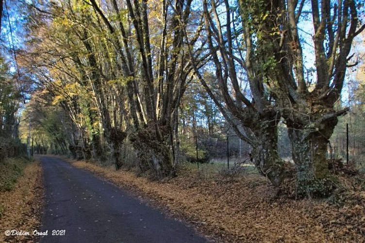 Dernières trognes avant l'atterrissage