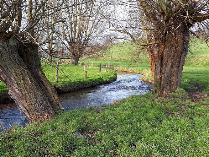 Des fermes et la Berwinne à travers prés