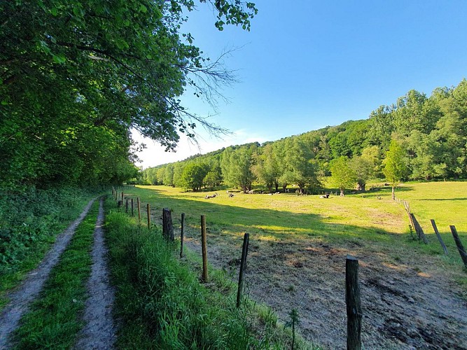 La balade des amoureux