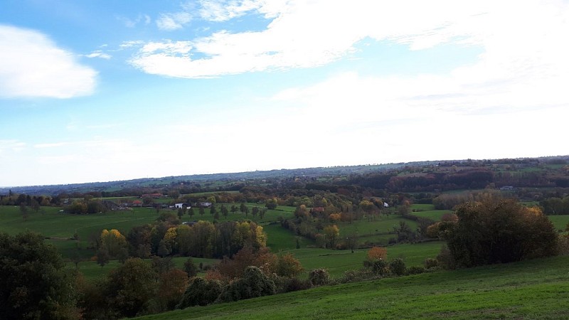 Panorama bucolique