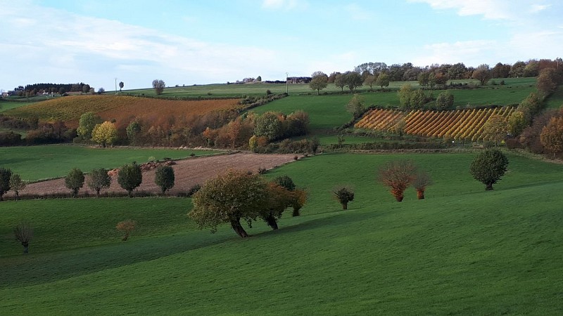 DALHEM-DA9-10-Neufchâteau_photo-paysage automnal champ-pré-vergers_02-2024
