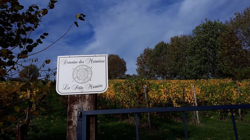 Un fort, des vignes et des échaliers - Parcours B