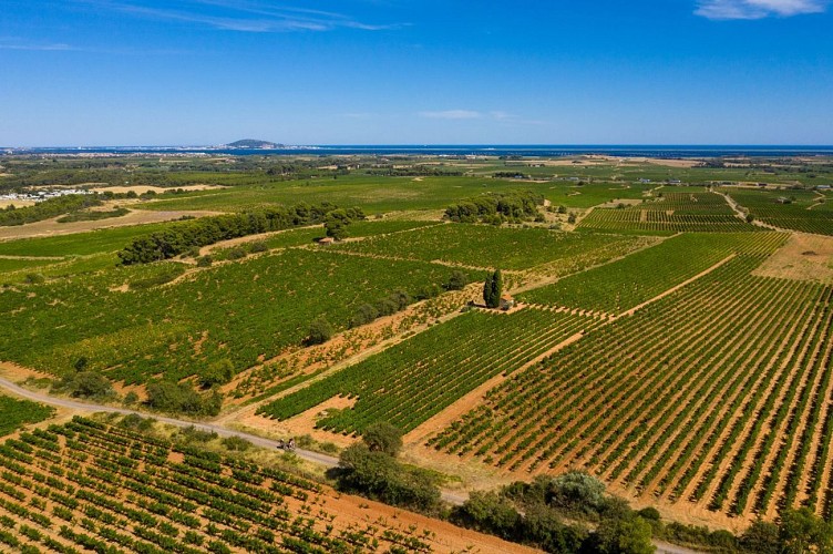 EN GRAVEL SUR LA GTMC: MILLAU - CAP D'AGDE - BÉZIERS