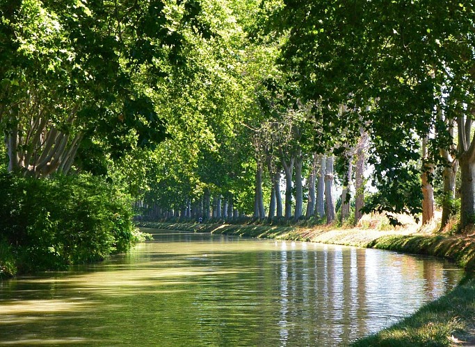 EN GRAVEL SUR LA GTMC: MILLAU - CAP D'AGDE - BÉZIERS