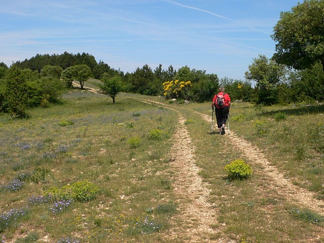 TRAIL LE PLATEAU DU GRÉZAC