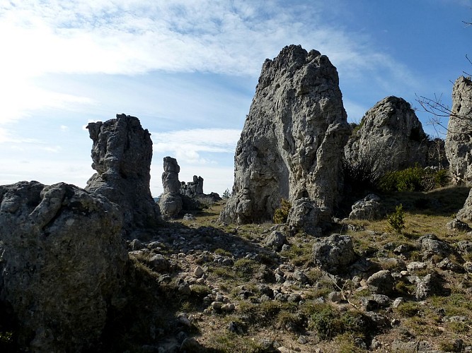 PROJET TRAIL DE LA LERGUE