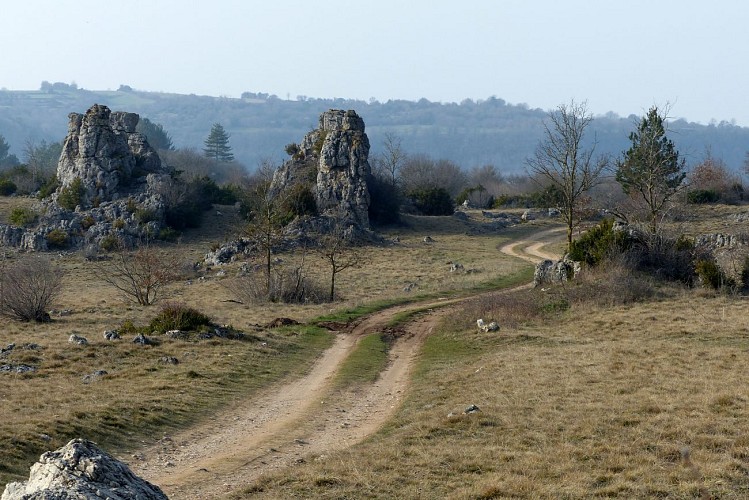 PROJET TRAIL DE LA LERGUE