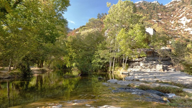 TRAIL CAUSSE ET GORGES DE LA VIS - NAVACELLES