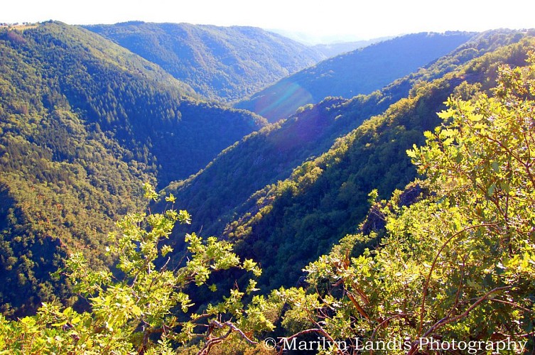 Circuit 19 - Des gorges du Jaoul au  cheval du Roi