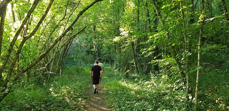 le chemin des puechs