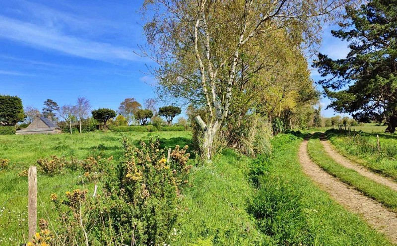 Chemin St Jean du Doigt - Finistere