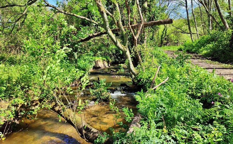Le ruisseau - la campagne