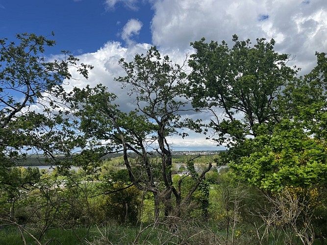 Balade "Sentier de la Garenne"