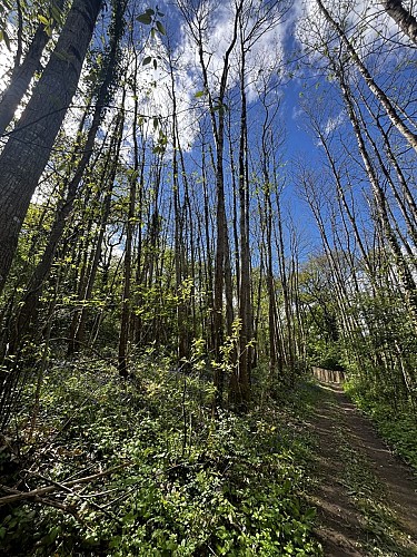 Balade "Sentier de la Garenne"