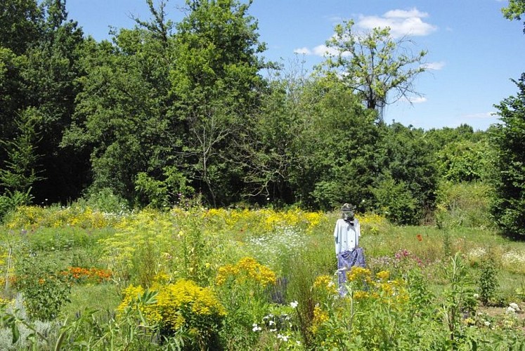 fleurs paysage