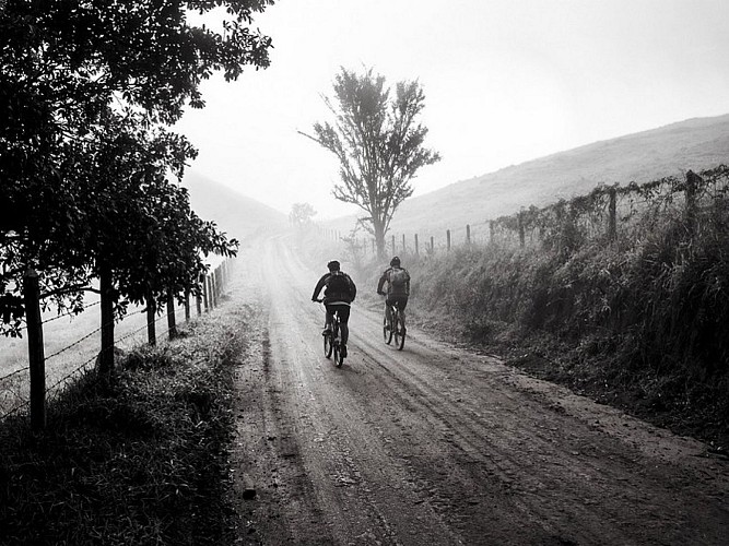 From Gimbelhof to Obersteinbach