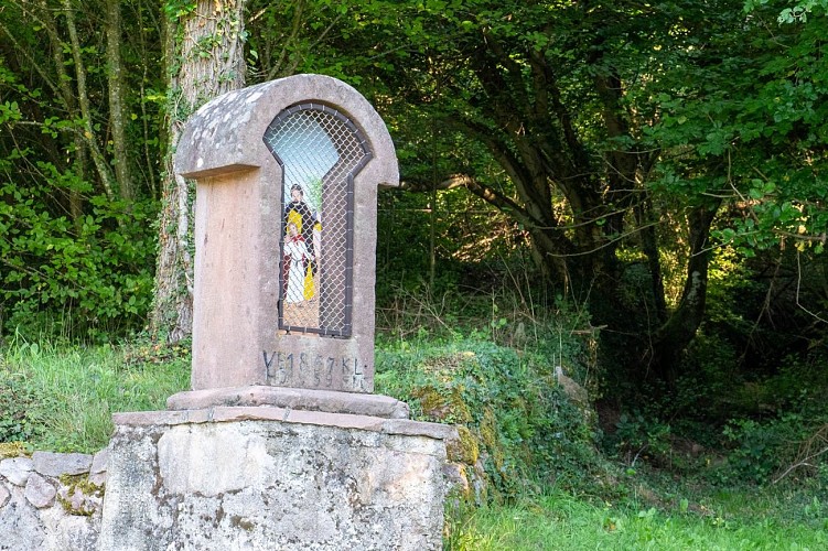 Circuit du vignoble - Herrenreben