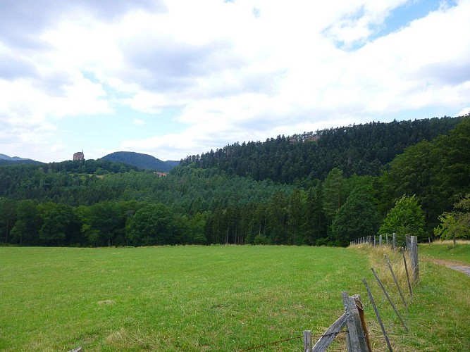 Vue sur le Langenfels et le Château de Fleckenstein