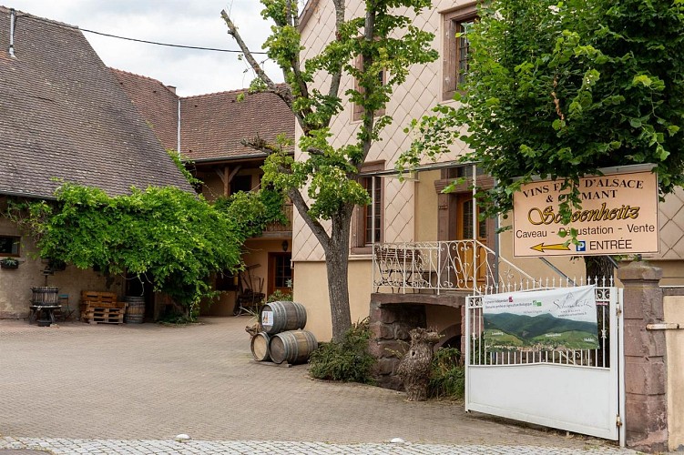 Circuit du vignoble - Linsenberg