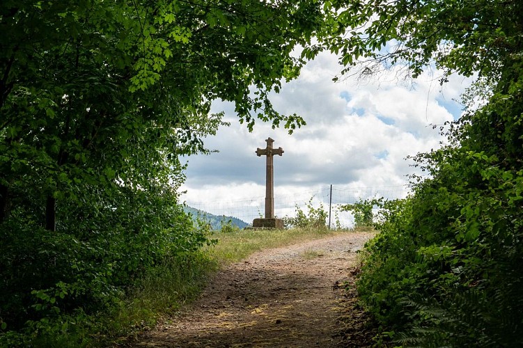 Circuit du vignoble - Linsenberg