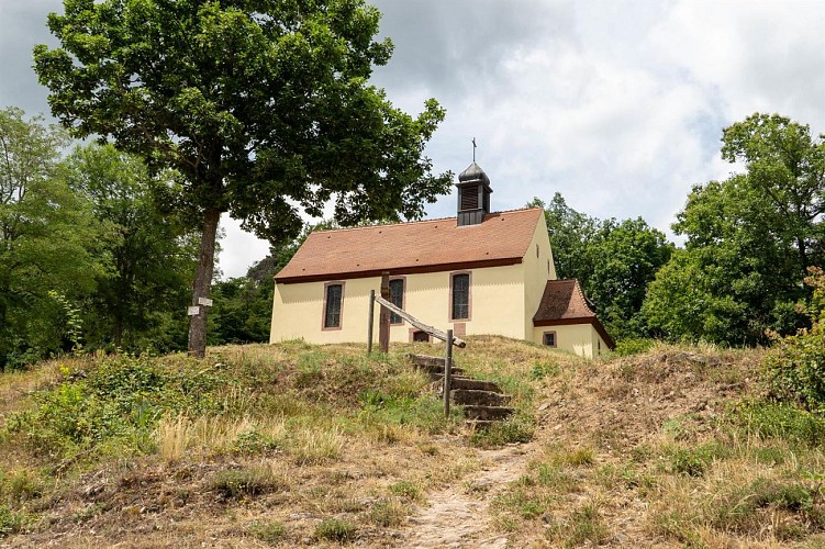 Circuit du vignoble - Linsenberg