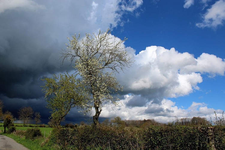 Balade autour de la chapelle de Murat