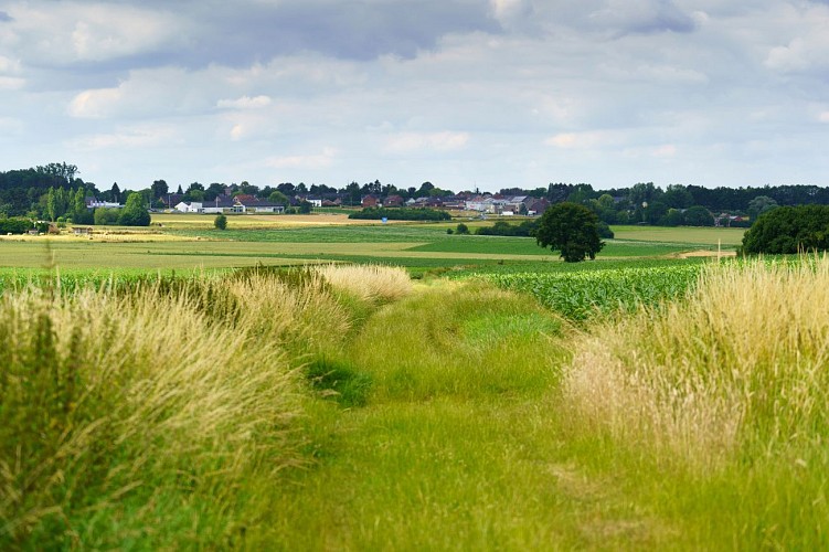 Velaine et ses sentiers