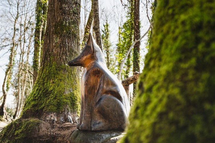 Le bois de Penfoulic