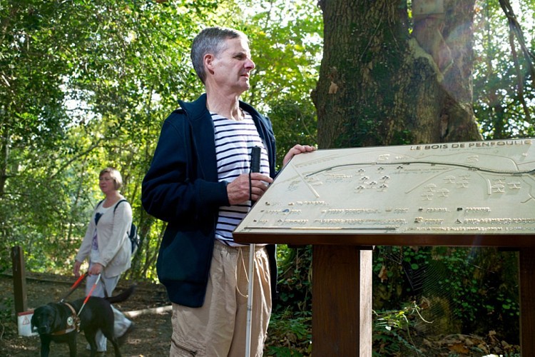 Le bois de Penfoulic