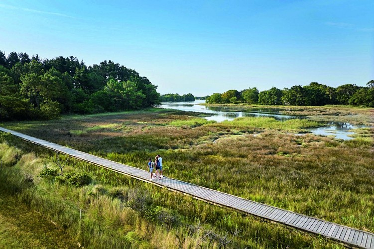 Anse du Petit Moulin