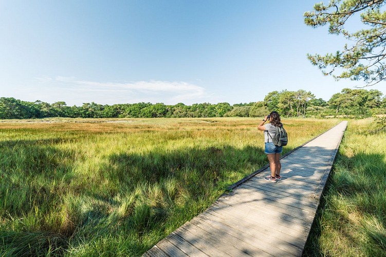 Chemin de Kerguell + Petit Moulin