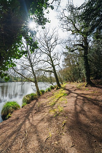 Le Bois du Moustoir