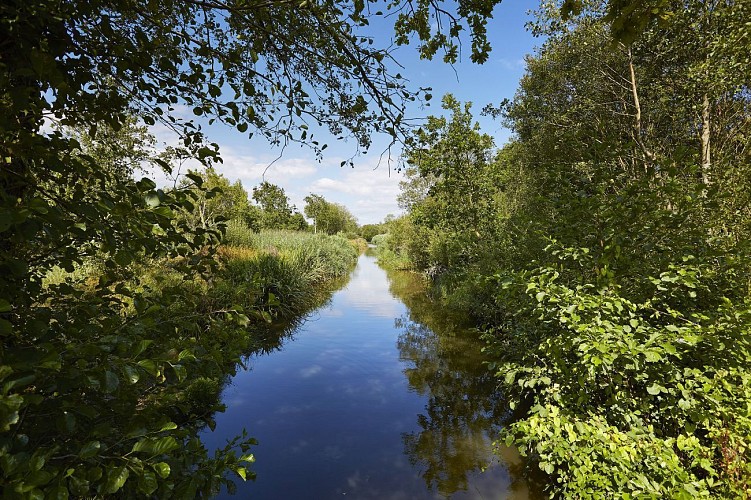 Le bocage de Beg Meil