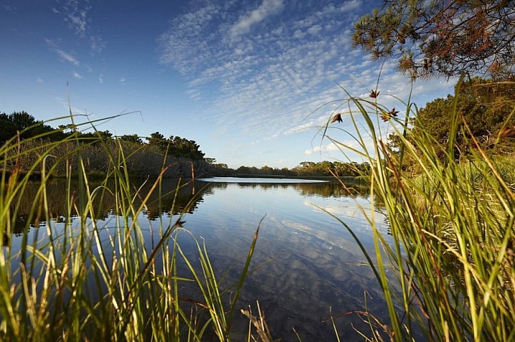 Au coeur des marais de Mousterlin